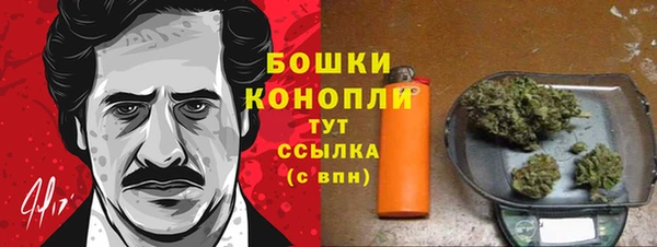 ГАЛЛЮЦИНОГЕННЫЕ ГРИБЫ Нея