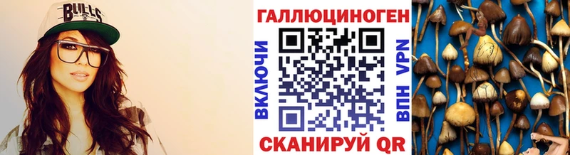 Псилоцибиновые грибы мицелий  купить наркоту  Правдинск 